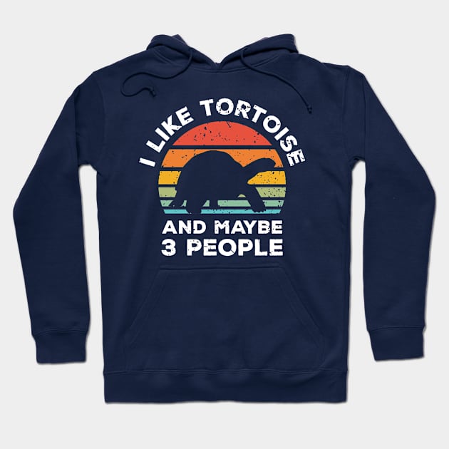 I Like Tortoise and Maybe 3 People, Retro Vintage Sunset with Style Old Grainy Grunge Texture Hoodie by Ardhsells